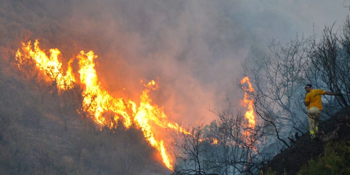 Manisa’da makilik alanda çıkan yangın denetim altına alındı