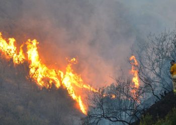 Manisa’da makilik alanda çıkan yangın denetim altına alındı