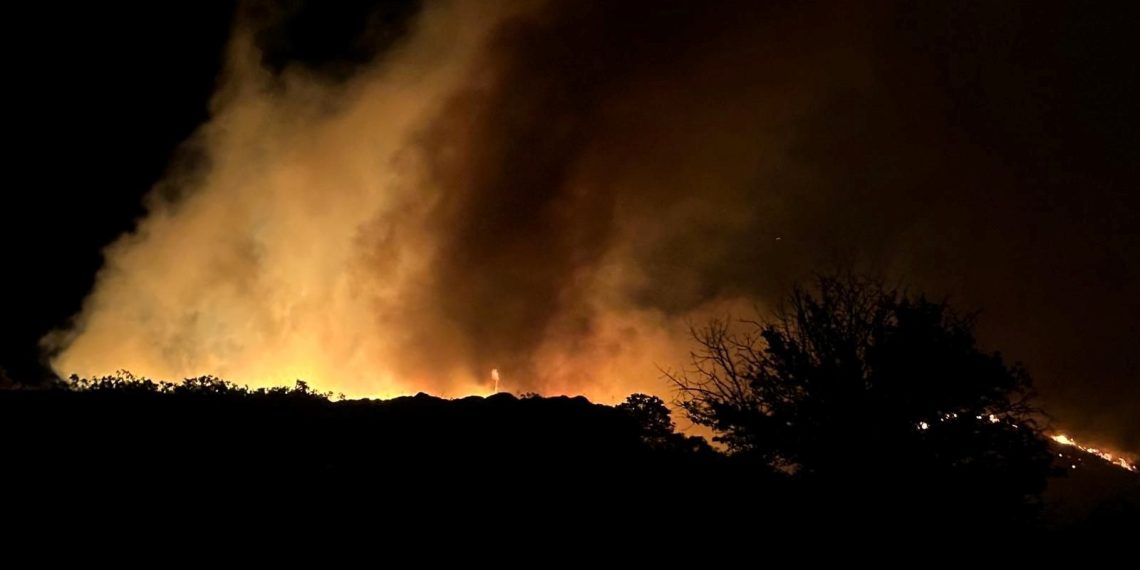 Marmara Adası’nda makilik yangını