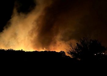 Marmara Adası’nda makilik yangını