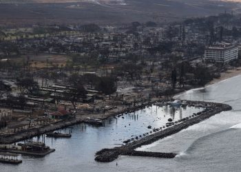 Maui’deki yangından kurtulanlar kimyasal tehditlerle karşı karşıya