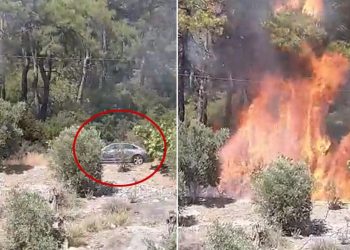 Milas yangınında sabotaj kuşkusu: İmajlar ortaya çıktı