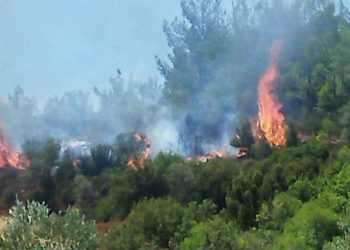 Muğla ve Hatay’da orman yangını