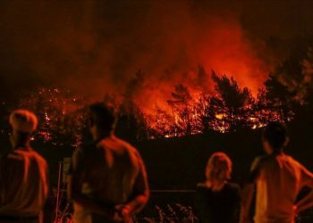 Orman emekçisine “şehit” statüsü