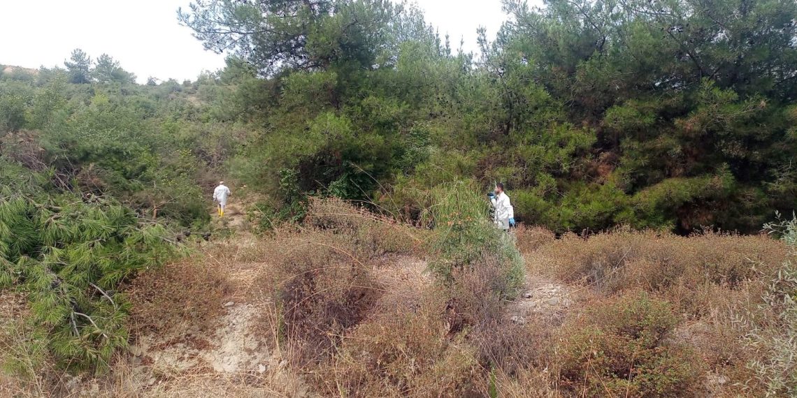 Ormanda elleri bağlanmış ceset bulundu