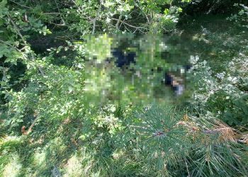 Ormanda kaybolan Parkinson hastasının cansız vücudu bulundu