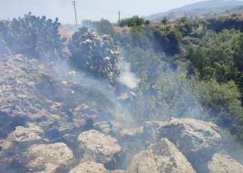 Osmaniye’de orman yangını