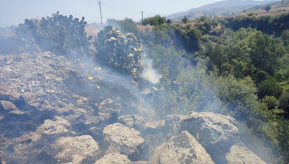 Osmaniye’de orman yangını
