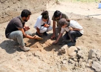 Samsun’da tarihe ışık tutan hafriyat | 4 yeni mezar yeri bulundu