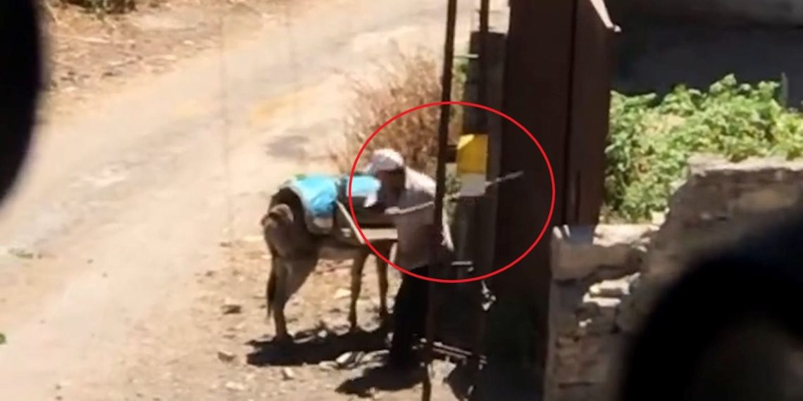 Şiddet gören eşek emekliye ayrıldı