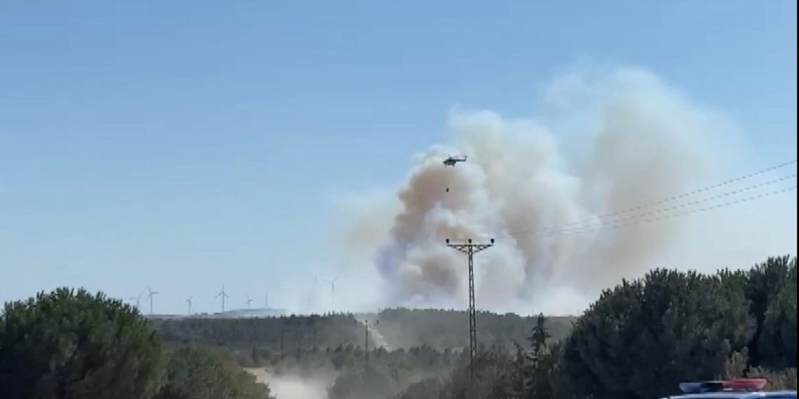 SON DAKİKA HABERİ: Silivri’de orman yangını