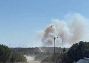 SON DAKİKA HABERİ: Silivri’de orman yangını