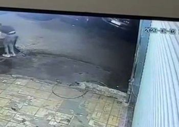 Sultangazi’de mangal hırsızlığı