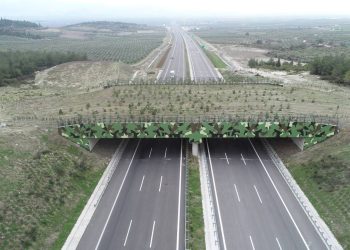 Türkiye, ekolojik köprü sayısını artıracak