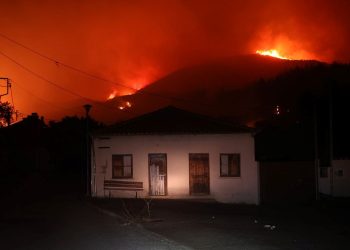 Türkiye’den Yunanistan’a yangınlarla gayret için yardım teklifi