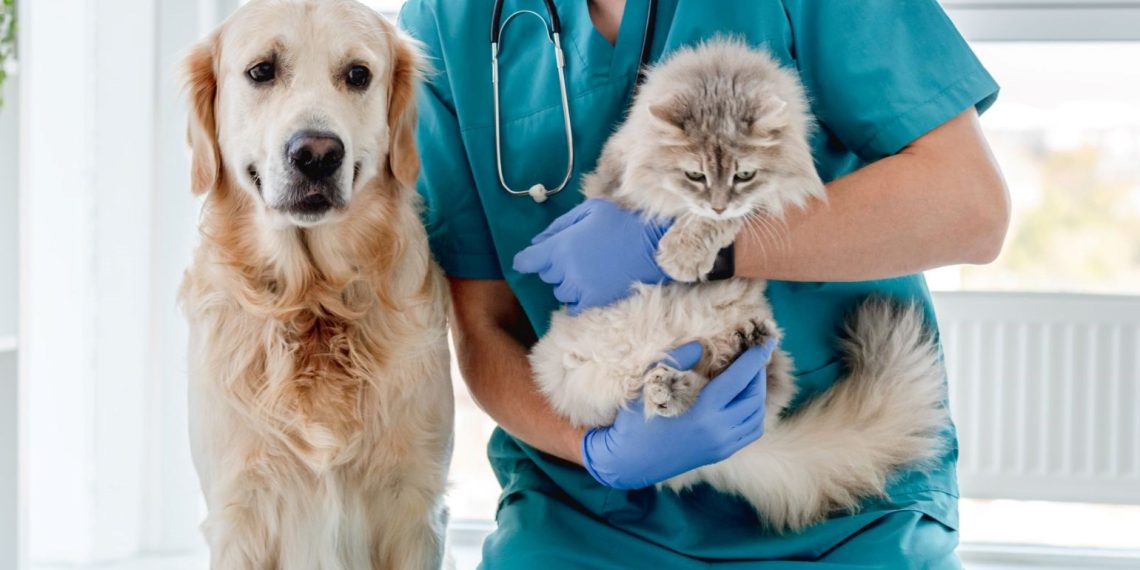 Veteriner tabipler iş bırakıyor