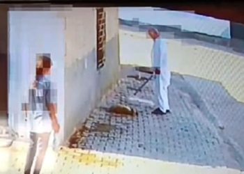 Yavru köpeği demir çubukla öldürdü