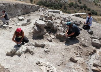 3500 yıllık üzüm çekirdeği kalıntısı bulundu