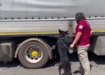 4 vilayette uyuşturucu operasyonu: 14 gözaltı