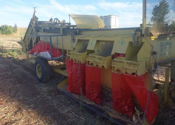 7 yaşındaki çocuk soğan patozunun altında kalarak can verdi