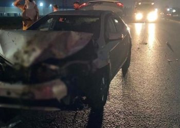 Adana’da araba koyun sürüsüne daldı: 100 koyun telef oldu