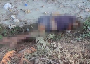 Adana’da dere kenarında bayan cesedi bulundu