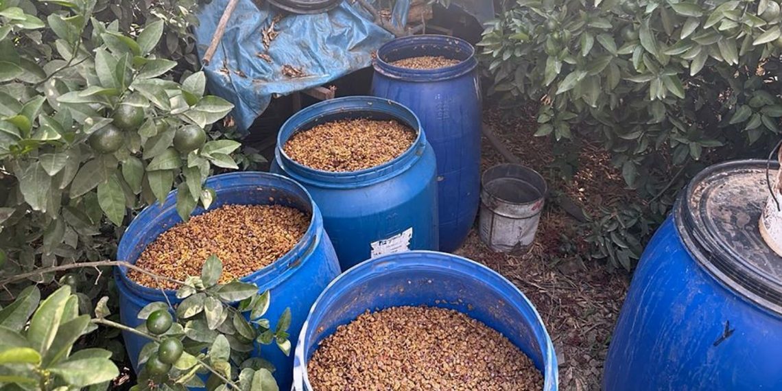 Adana’da düzmece ve kaçak içki operasyonu