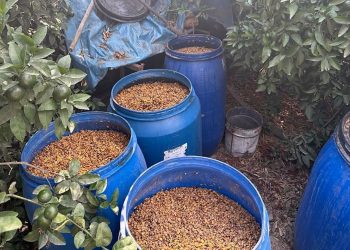 Adana’da düzmece ve kaçak içki operasyonu