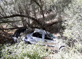 Adana’da katliam üzere kaza: 4 meyyit, 3 yaralı