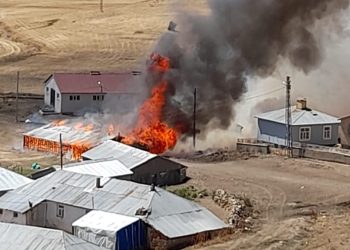 Ahır yangınında 22 hayvan öldü (Telefon çekmediği için geç ihbar edilebildi)