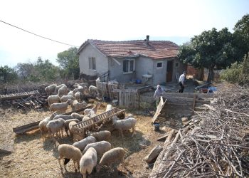 Alevlerin ortasında kalan köyünde sabaha kadar koyunlarının başından ayrılmadı
