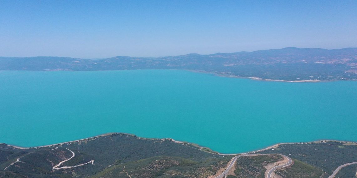Alg nedir, alg patlaması neden olur? İznik Gölü’nü turkuaza boyadı!