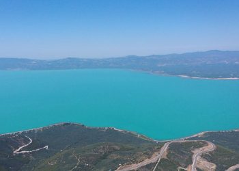 Alg nedir, alg patlaması neden olur? İznik Gölü’nü turkuaza boyadı!