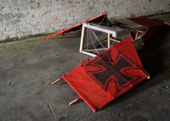 Almanya’da “Hammerskins” isimli Neonazi kümenin faaliyetleri yasaklandı