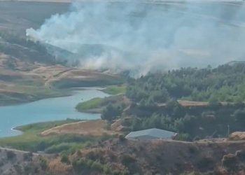 Anız yangını ağaçlık alana sıçradı