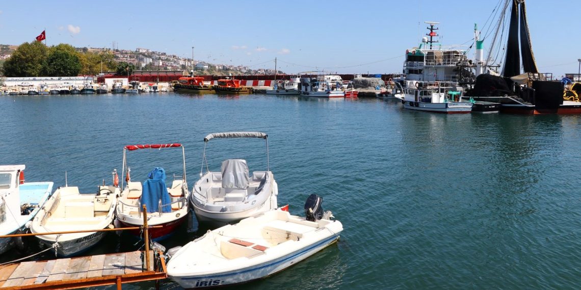 Av yasağı bitiyor: Denizlerde bu yıl palamut az, hamsi bol olacak