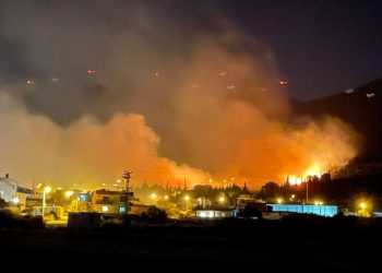 Aydın’da yerleşim yerlerine yakın makilik alanda yangın