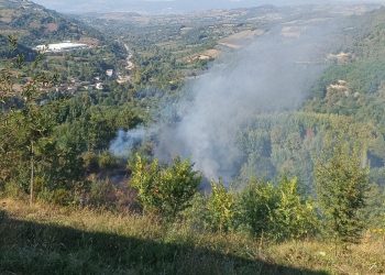Bahçesindeki çalıları ateşe verince dumandan zehirlenerek hayatını kaybetti
