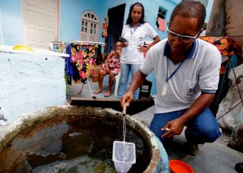 Bangladeş’te dang hummasından hayatını kaybedenlerin sayısı 506’ya çıktı
