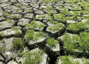 Bayramiç Barajı kuruma noktasına geldi: Doluluk oranı yüzde 18