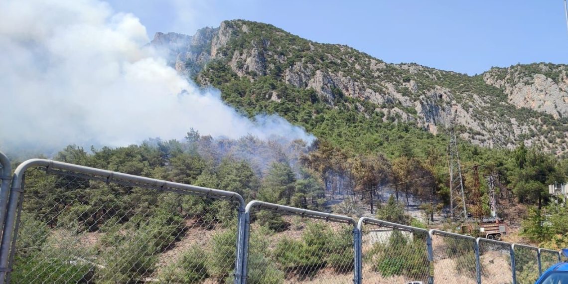 Bilecik’in Bozüyük ilçesinde ormanlık alanda çıkan yangın denetim altına alındı