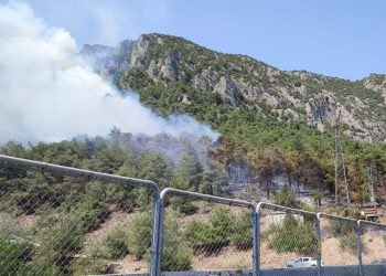 Bilecik’in Bozüyük ilçesinde ormanlık alanda çıkan yangın denetim altına alındı