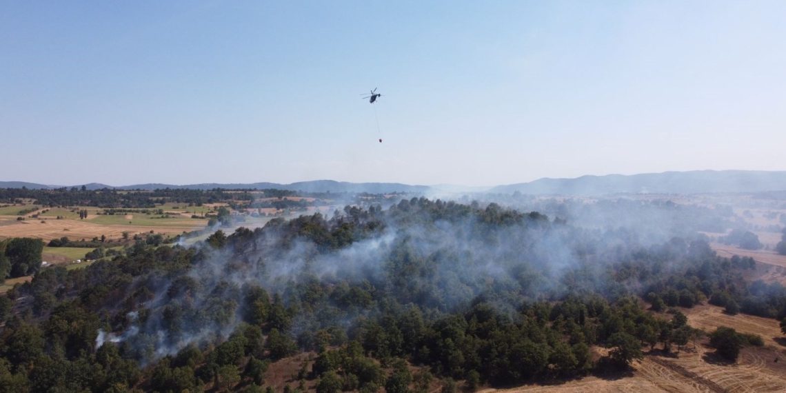 Bilecik’te orman yangını