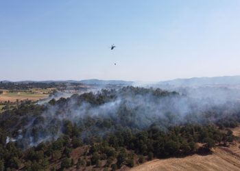 Bilecik’te orman yangını