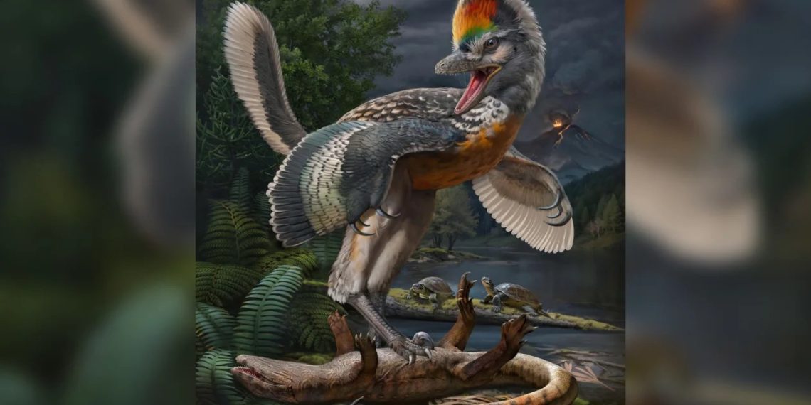 Bilim insanlarını şaşırtan keşif: Kuş benzeri dinozor