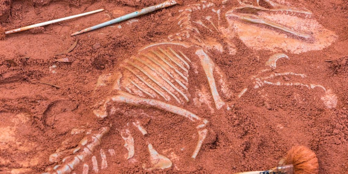 Bilim insanlarını şaşırtan keşif: Kuş gibisi dinozor bulundu