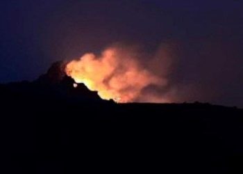 Bodrum’da maki yangını: 3 saatte söndürüldü