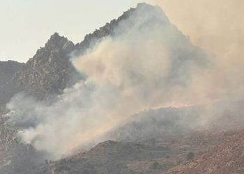 Bodrum’da maki yangını: Gruplar bölgede