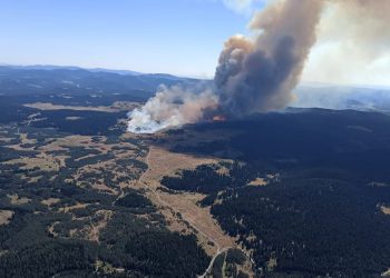 Bolu ve Ankara’da orman yangını