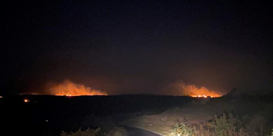 Bulgaristan’ın Türkiye hududunda orman yangını: Çok sayıda grup bölgede